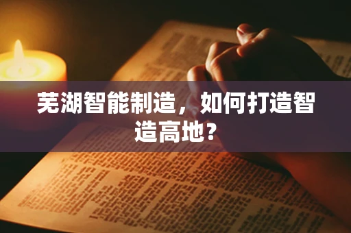 芜湖智能制造，如何打造智造高地？