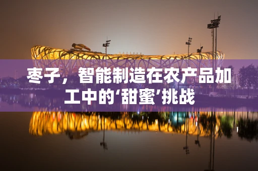 枣子，智能制造在农产品加工中的‘甜蜜’挑战