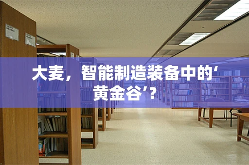 大麦，智能制造装备中的‘黄金谷’？