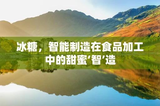冰糖，智能制造在食品加工中的甜蜜‘智’造