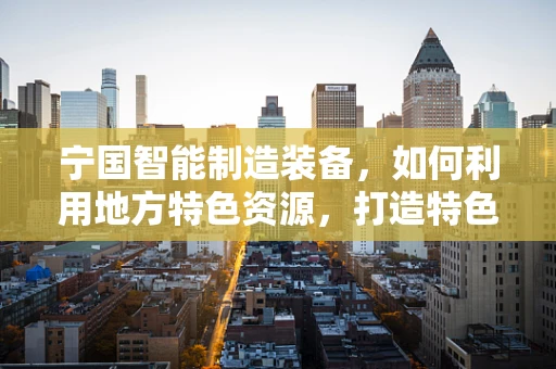 宁国智能制造装备，如何利用地方特色资源，打造特色产业集群？