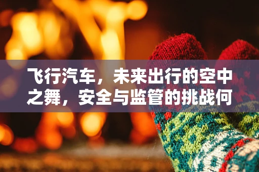 飞行汽车，未来出行的空中之舞，安全与监管的挑战何在？