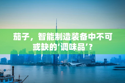 茄子，智能制造装备中不可或缺的‘调味品’？