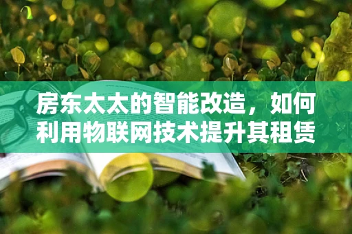 房东太太的智能改造，如何利用物联网技术提升其租赁管理效率？