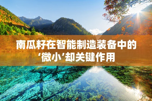 南瓜籽在智能制造装备中的‘微小’却关键作用