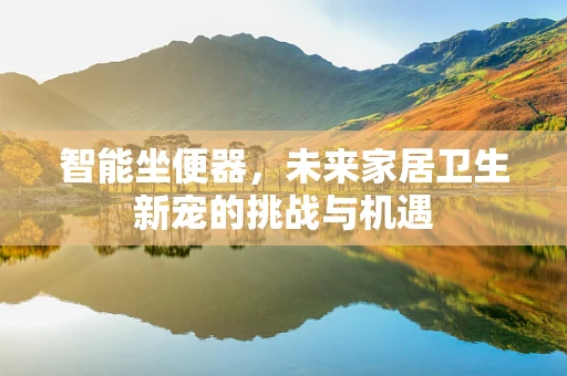 智能坐便器，未来家居卫生新宠的挑战与机遇