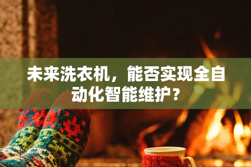 未来洗衣机，能否实现全自动化智能维护？