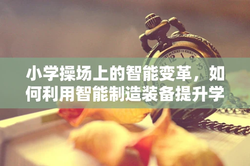 小学操场上的智能变革，如何利用智能制造装备提升学生运动体验？