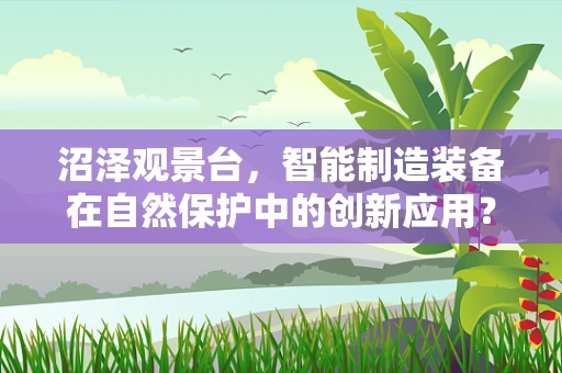 沼泽观景台，智能制造装备在自然保护中的创新应用？