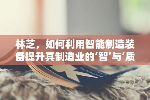 林芝，如何利用智能制造装备提升其制造业的‘智’与‘质’？