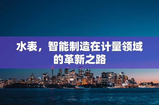 水表，智能制造在计量领域的革新之路
