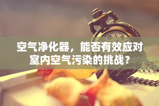 空气净化器，能否有效应对室内空气污染的挑战？