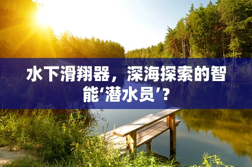 水下滑翔器，深海探索的智能‘潜水员’？