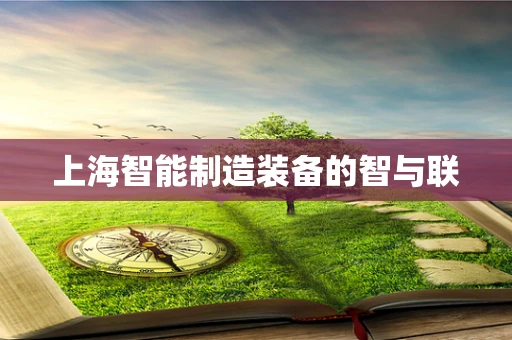 上海智能制造装备的智与联