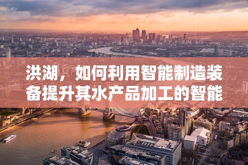 洪湖，如何利用智能制造装备提升其水产品加工的智能化水平？