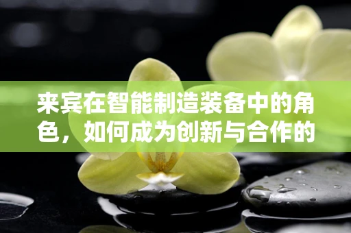 来宾在智能制造装备中的角色，如何成为创新与合作的桥梁？