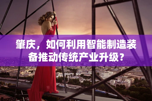 肇庆，如何利用智能制造装备推动传统产业升级？