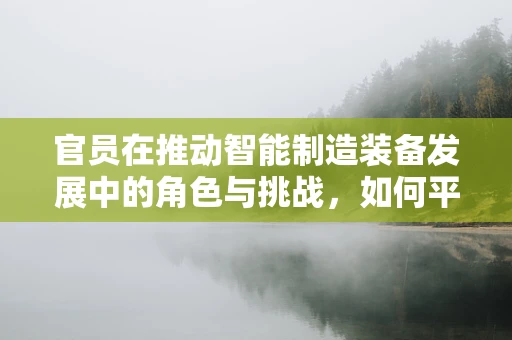 官员在推动智能制造装备发展中的角色与挑战，如何平衡政策制定与行业创新？