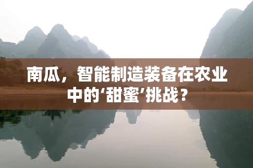 南瓜，智能制造装备在农业中的‘甜蜜’挑战？