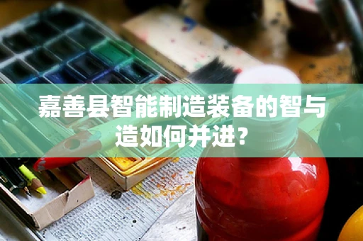 嘉善县智能制造装备的智与造如何并进？