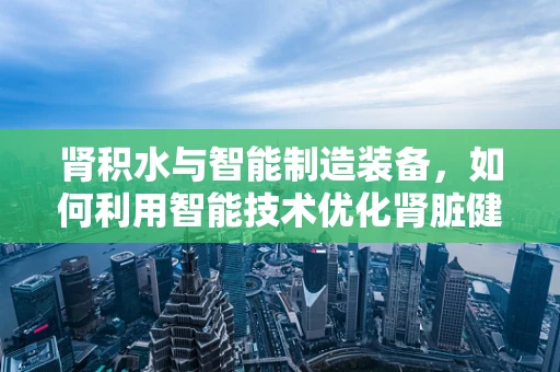 肾积水与智能制造装备，如何利用智能技术优化肾脏健康监测？