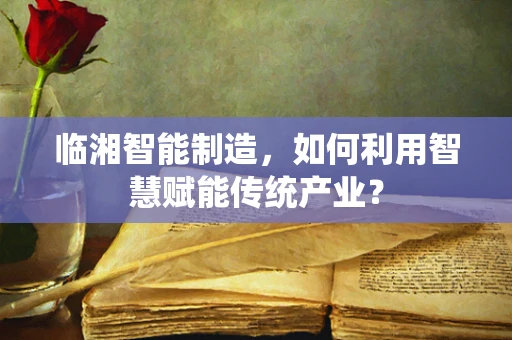 临湘智能制造，如何利用智慧赋能传统产业？