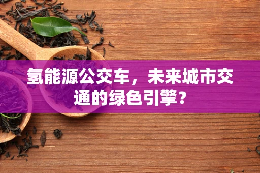 氢能源公交车，未来城市交通的绿色引擎？