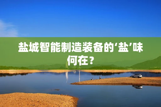 盐城智能制造装备的‘盐’味何在？