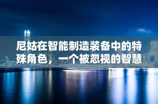 尼姑在智能制造装备中的特殊角色，一个被忽视的智慧力量？
