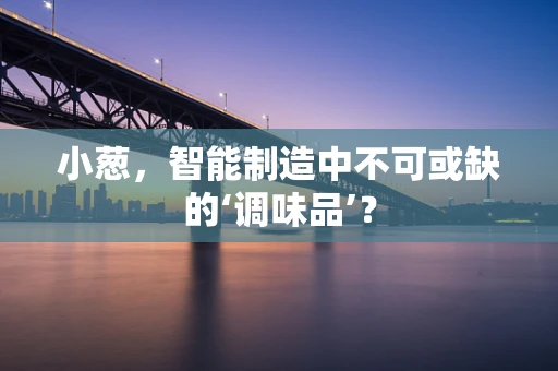 小葱，智能制造中不可或缺的‘调味品’？