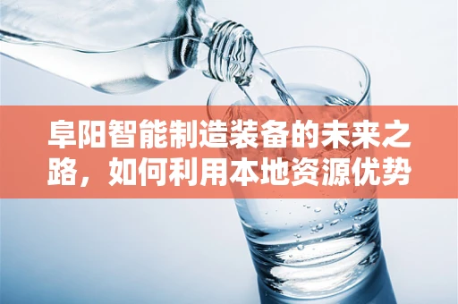 阜阳智能制造装备的未来之路，如何利用本地资源优势？