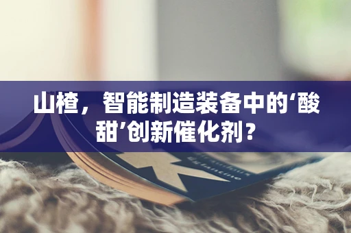 山楂，智能制造装备中的‘酸甜’创新催化剂？
