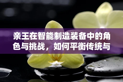 亲王在智能制造装备中的角色与挑战，如何平衡传统与未来？