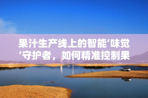 果汁生产线上的智能‘味觉’守护者，如何精准控制果肉含量与口感？