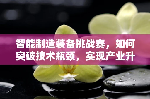 智能制造装备挑战赛，如何突破技术瓶颈，实现产业升级？