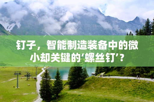 钉子，智能制造装备中的微小却关键的‘螺丝钉’？