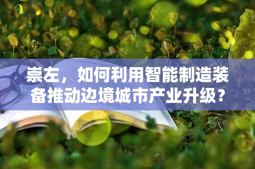 崇左，如何利用智能制造装备推动边境城市产业升级？