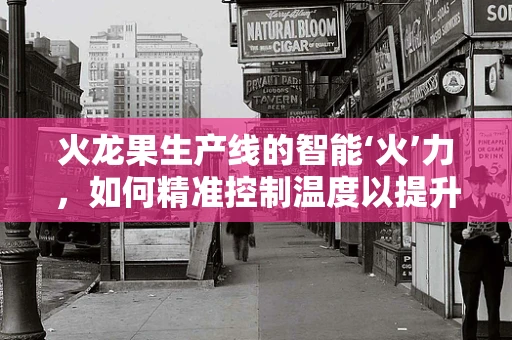 火龙果生产线的智能‘火’力，如何精准控制温度以提升果品质量？