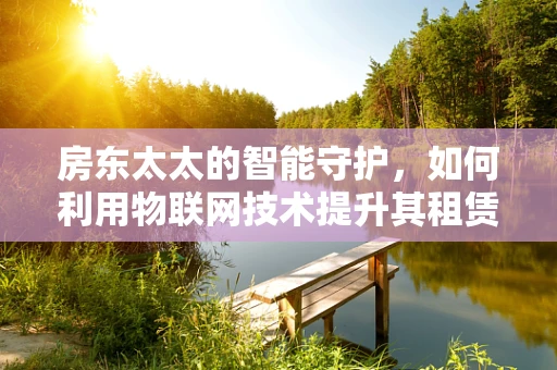 房东太太的智能守护，如何利用物联网技术提升其租赁设备的安全性与效率？