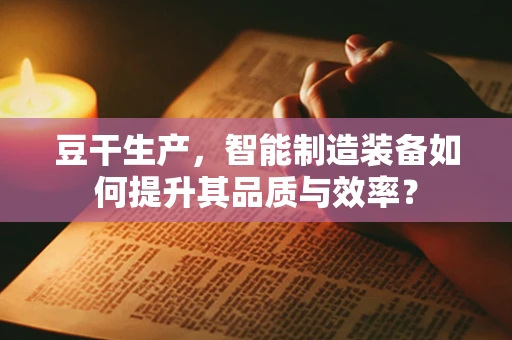 豆干生产，智能制造装备如何提升其品质与效率？