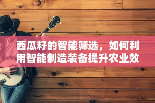西瓜籽的智能筛选，如何利用智能制造装备提升农业效率？
