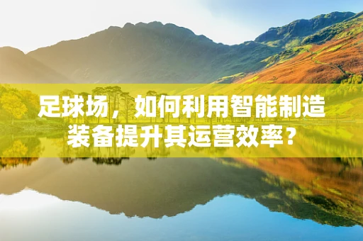 足球场，如何利用智能制造装备提升其运营效率？