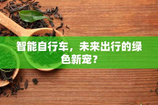 智能自行车，未来出行的绿色新宠？