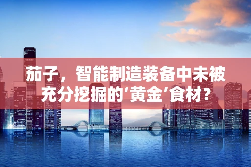 茄子，智能制造装备中未被充分挖掘的‘黄金’食材？