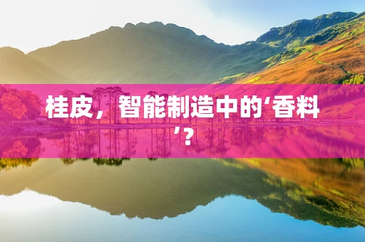 桂皮，智能制造中的‘香料’？