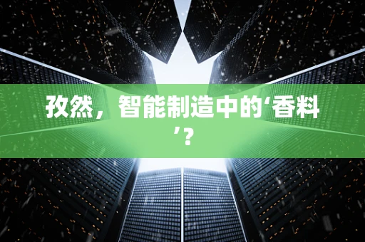 孜然，智能制造中的‘香料’？