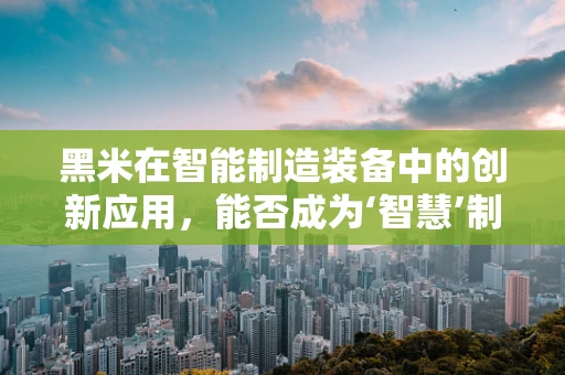 黑米在智能制造装备中的创新应用，能否成为‘智慧’制造的‘米’？