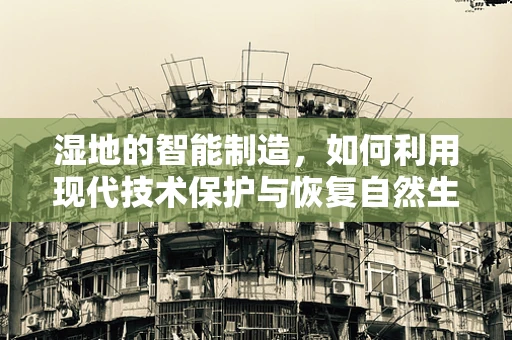 湿地的智能制造，如何利用现代技术保护与恢复自然生态？