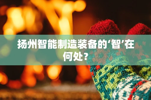 扬州智能制造装备的‘智’在何处？