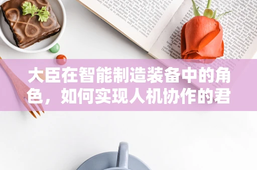 大臣在智能制造装备中的角色，如何实现人机协作的君臣之道？